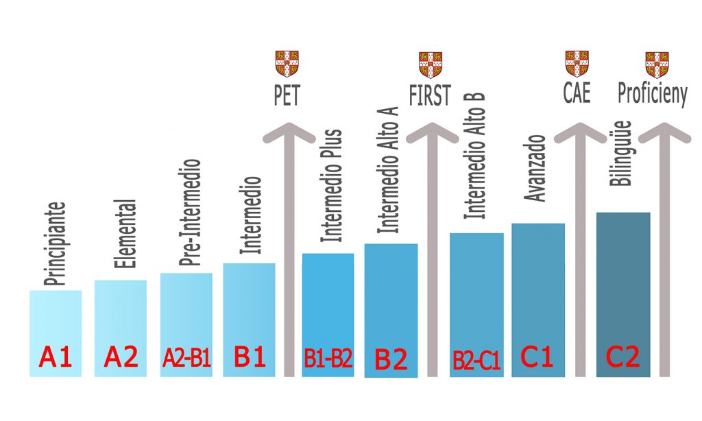 Niveles De Los Cursos De Inglés Online Seif English Online 3216